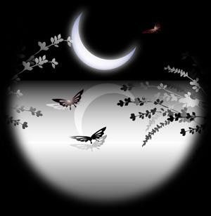 **images de bonne soirée,nuit...**